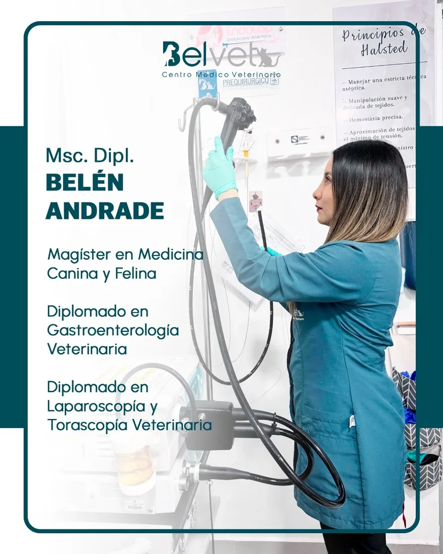 La Dra. Belén Andrade manejando un endoscopio en la sala prequirúrgica de Belvet